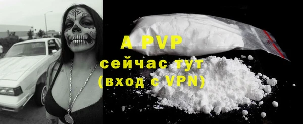 прущие крисы Белокуриха