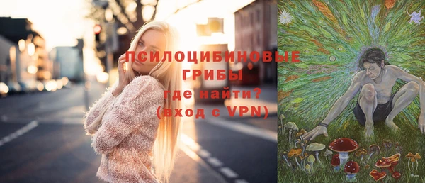 прущие крисы Белокуриха