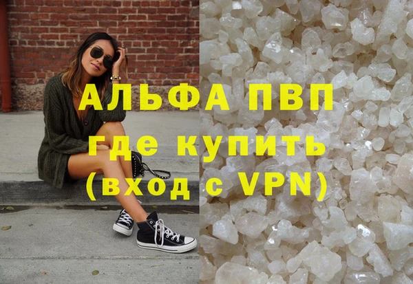 СК Балахна