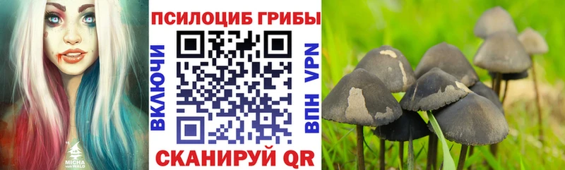 дарк нет состав Коркино Галлюциногенные грибы GOLDEN TEACHER цены мега ССЫЛКА