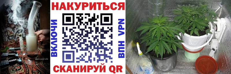 darknet телеграм  Коркино  Бошки марихуана Bruce Banner 